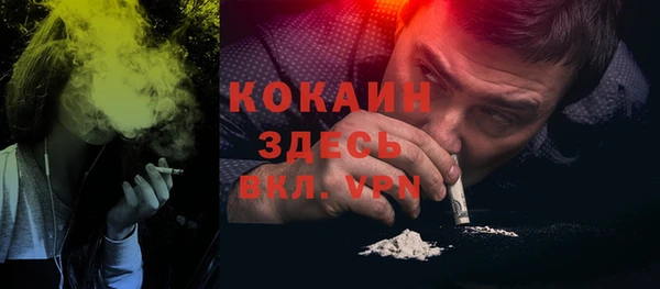 индика Алексеевка